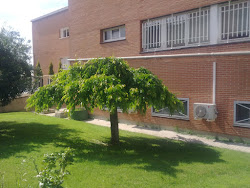 Ponte en contacto conmigo